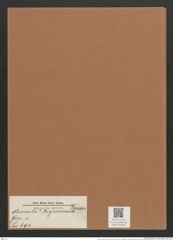 Navicula ? trigramma Fresen. (de-Toni-Nr.: Genus 1, Species 691) Zeichnungen Sammlung Grunow Mappe 00579 (Herbarium_W_Grunow_drawings_Folder_00579)
